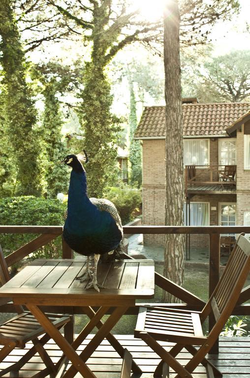 Carilo Village Apart Hotel & Spa Pokoj fotografie